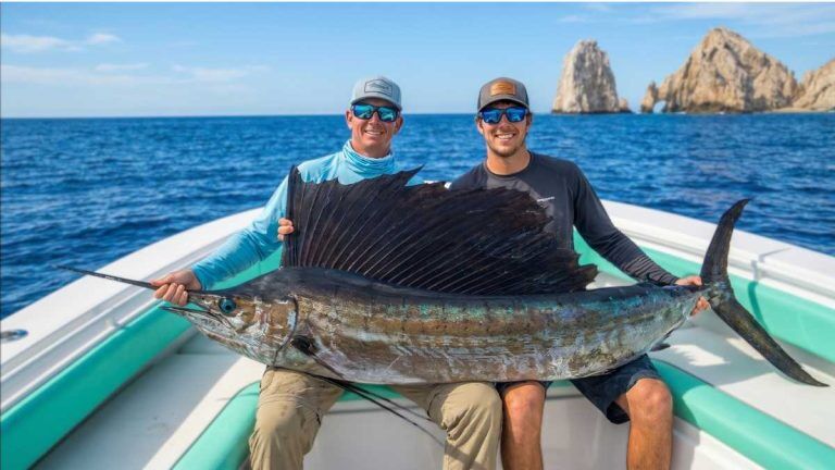 Sailfish Fishing: Complete Guide for Anglers (2026)